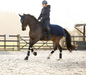 Produktbild von Nierendecke für Pferd Polar LeMieux Arika Clima-Tek