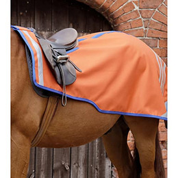 Produktbild von Nierendecke für Pferde Premier Equine Stratus