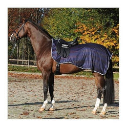 Nierendecke Kavalkade – Bild 1 von 3