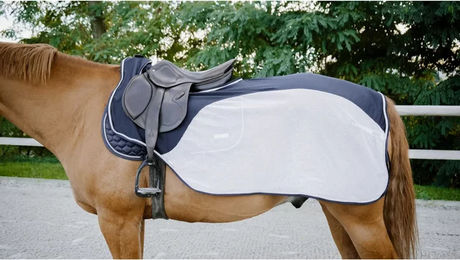 Produktbild von Nierendecken für Pferde Equithème Flycool