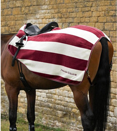 Produktbild von Nierendecken für Pferde Premier Equine Vellus