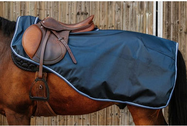 Produktbild von Nierendecken für Pferde Riding World Eco 600D