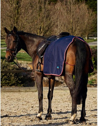 Produktbild von Nierendecken für Pferde Weatherbeeta Essential