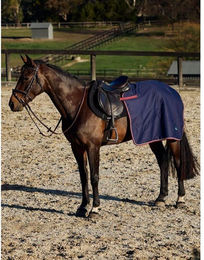 Produktbild von Nierendecken für Pferde Weatherbeeta Essential