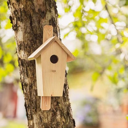Produktbild von Nistkasten Vogelhaus aus Holz naturbelassen