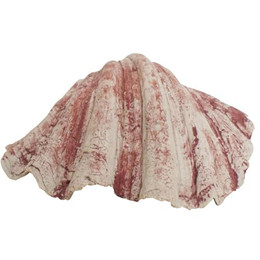 Produktbild von Nobby Aqua Ornaments Muschel