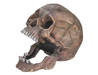 Produktbild von Nobby Aqua Ornaments Totenkopf Aquariumdeko
