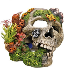 Produktbild von Nobby Aqua Ornaments Totenkopf mit Pflanzen