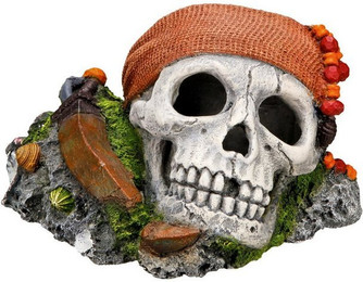 Produktbild von Nobby Aquariendeko Piraten Totenkopf auf Felsen