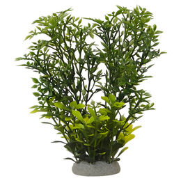 Produktbild von Nobby Aquariendekoration Aqua Ornaments Helzine I grün