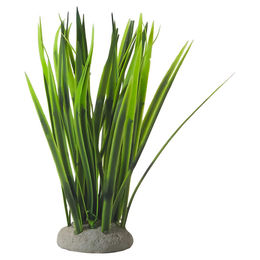 Produktbild von Nobby Aquariendekoration Aqua Ornaments ValliIsneria