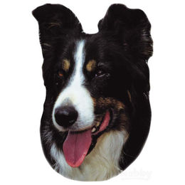 Produktbild von Nobby Aufkleber Border Collie