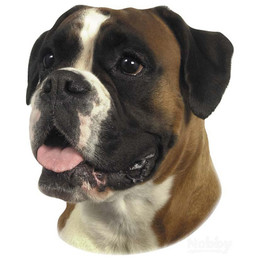 Produktbild von Nobby Aufkleber Boxer