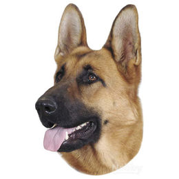 Produktbild von Nobby Aufkleber Deutscher Schäferhund dunkel