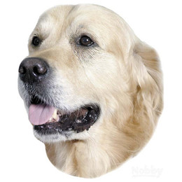 Produktbild von Nobby Aufkleber Golden Retriever