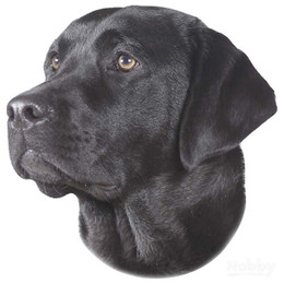 Produktbild von Nobby Aufkleber Labrador schwarz