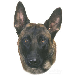 Produktbild von Nobby Aufkleber Malinois gelb