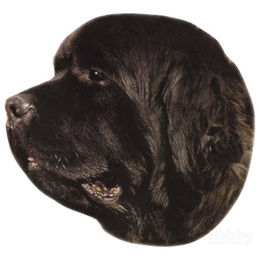 Produktbild von Nobby Aufkleber Neufundländer