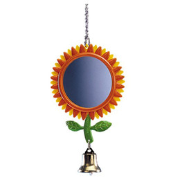 Produktbild von Nobby Blumen Spiegel - 1 Stk.