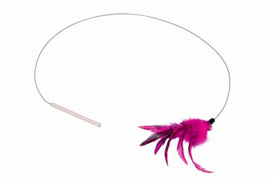 Produktbild von Nobby Cat Bounzer Katzenspielzeug