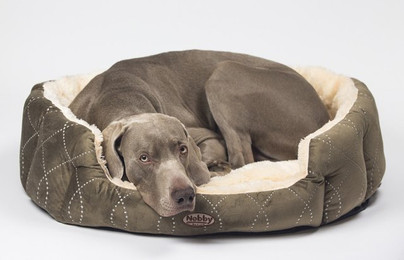 Produktbild von Nobby CENO oval Komfortbett für Hunde und Katzen beige/braun