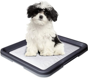 Produktbild von Nobby Doggy Trainer Ersatzpads Größe S