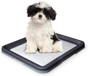 Produktbild von Nobby Doggy Trainer Größe S