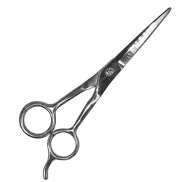 Produktbild von Nobby Fellschere Edelstahl 17 cm
