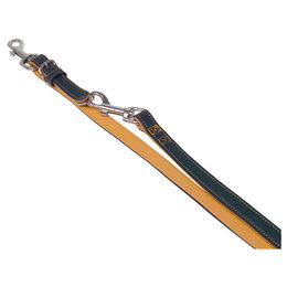 Produktbild von Nobby Führleine PACIFIC orange 2 m 14 mm - 2 m