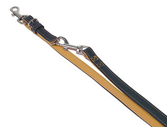 Produktbild von Nobby Führleine PACIFIC orange 2 m 18 mm