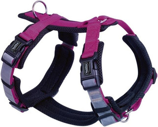 Produktbild von Nobby Geschirr Daily Walk Comfort himbeere XS - 1 Stk.