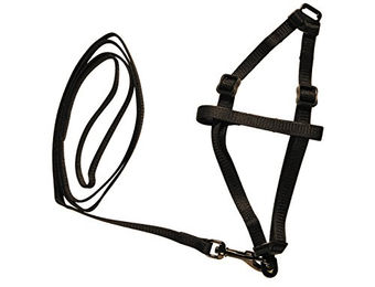 Produktbild von Nobby Geschirr Garnitur Nylon Kaninchen schwarz