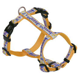 Produktbild von Nobby Geschirr Style orange