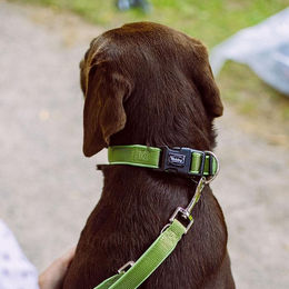 Produktbild von Nobby Halsband Classic Preno waldgrün L 50-65 cm B 25-35 mm