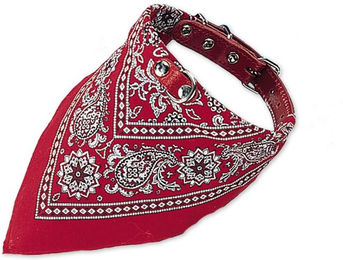 Produktbild von Nobby Halsband mit Tuch rot