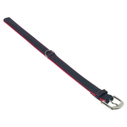 Produktbild von Nobby Halsband PACIFIC rot 32 cm