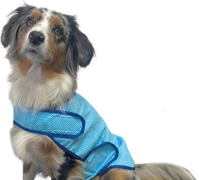 Produktbild von Nobby Hunde-Kühljacke Light