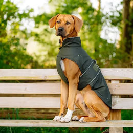 Produktbild von Nobby Hundemantel Sela dunkelgrün