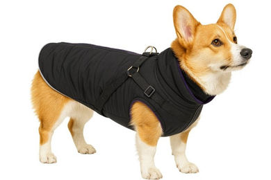 Nobby Hundemantel Sobak 2 in 1 schwarz-lila – Bild 1 von 2