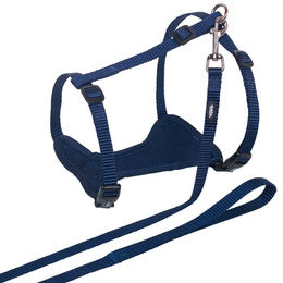 Produktbild von Nobby Katzengarnitur Mesh blau Größe L-XL