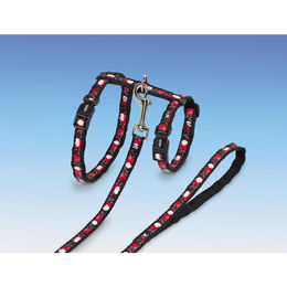 Produktbild von Nobby Katzengarnitur XL "HEART"