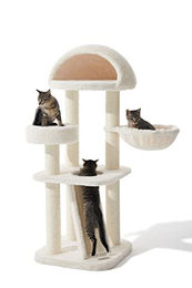 Nobby Kratzbaum Moja – Bild 1 von 8