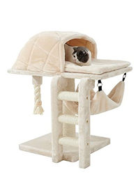 Nobby Kratzbaum RAMI cream – Bild 1 von 3