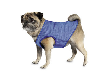 Produktbild von Nobby Kühlweste für Hunde