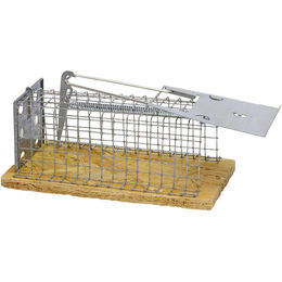 Nobby Luna Drahtkastenfalle, Maße: 15 cm – Bild 1 von 2