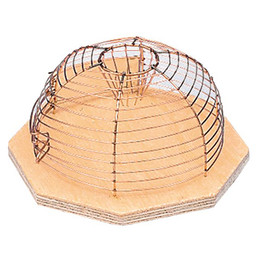 Produktbild von Nobby Luna Korbfalle, 1 Einlauf