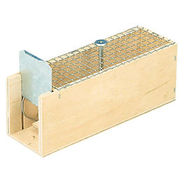 Nobby Mausefalle rechteckig – Bild 1 von 2