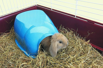 Nobby Nagerhaus Cocoon – Bild 1 von 9