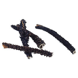 Produktbild von Nobby Nature Rinderpansen - 250 g