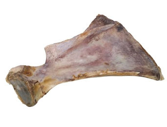 Nobby Nature Rinderschulterblatt – Bild 1 von 2